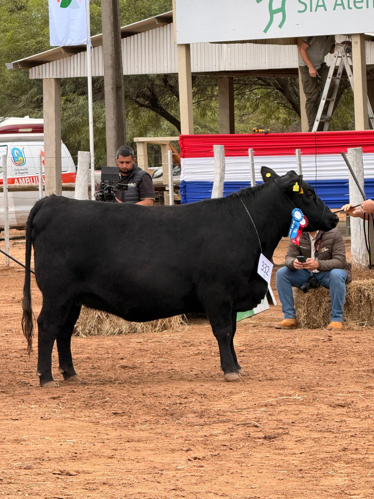 RP 17 - 1er premio categoría