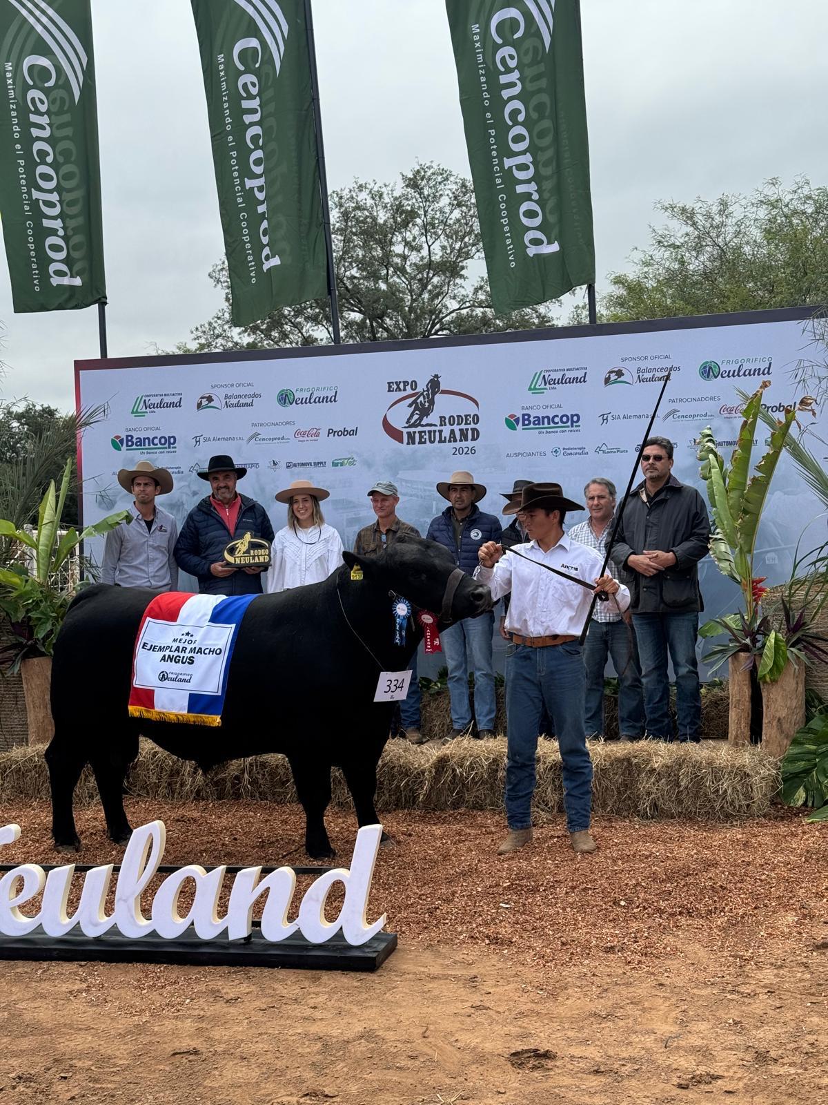 RP 38 - Mejor Ejemplar Macho Angus