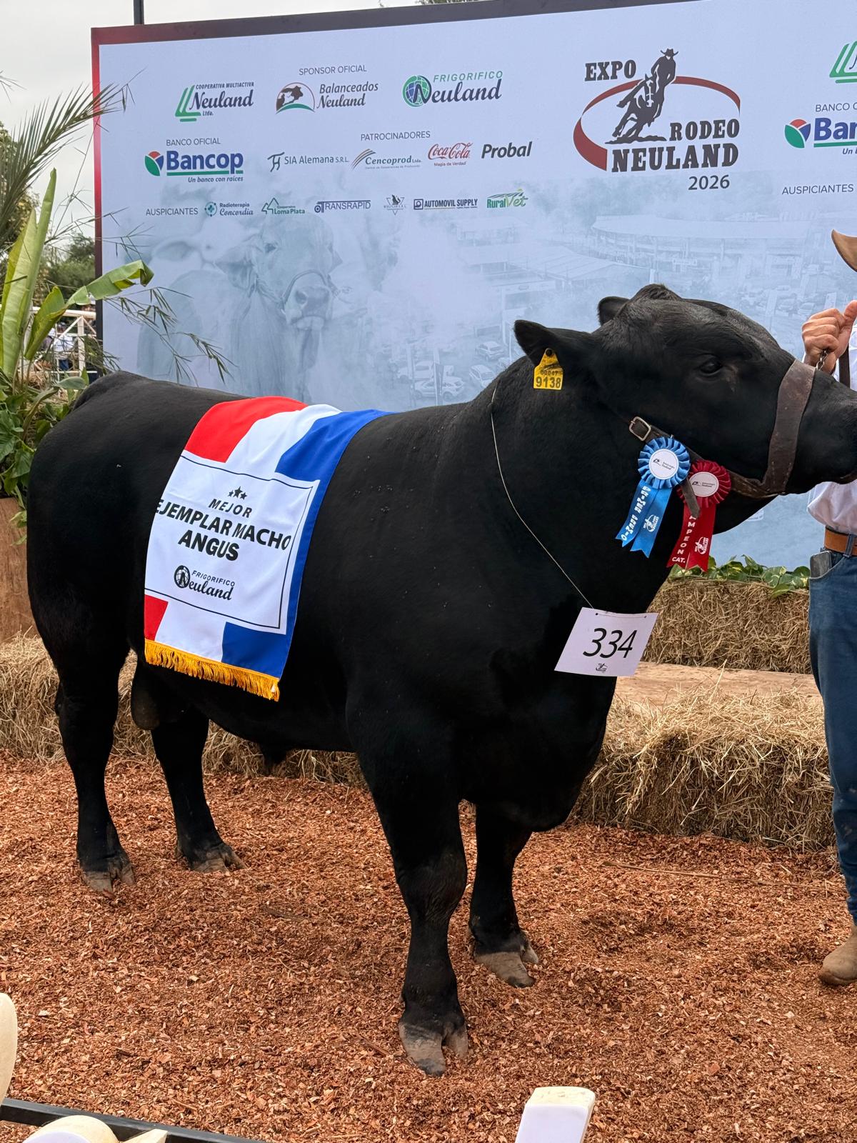 RP 38 - Mejor Ejemplar Macho Angus